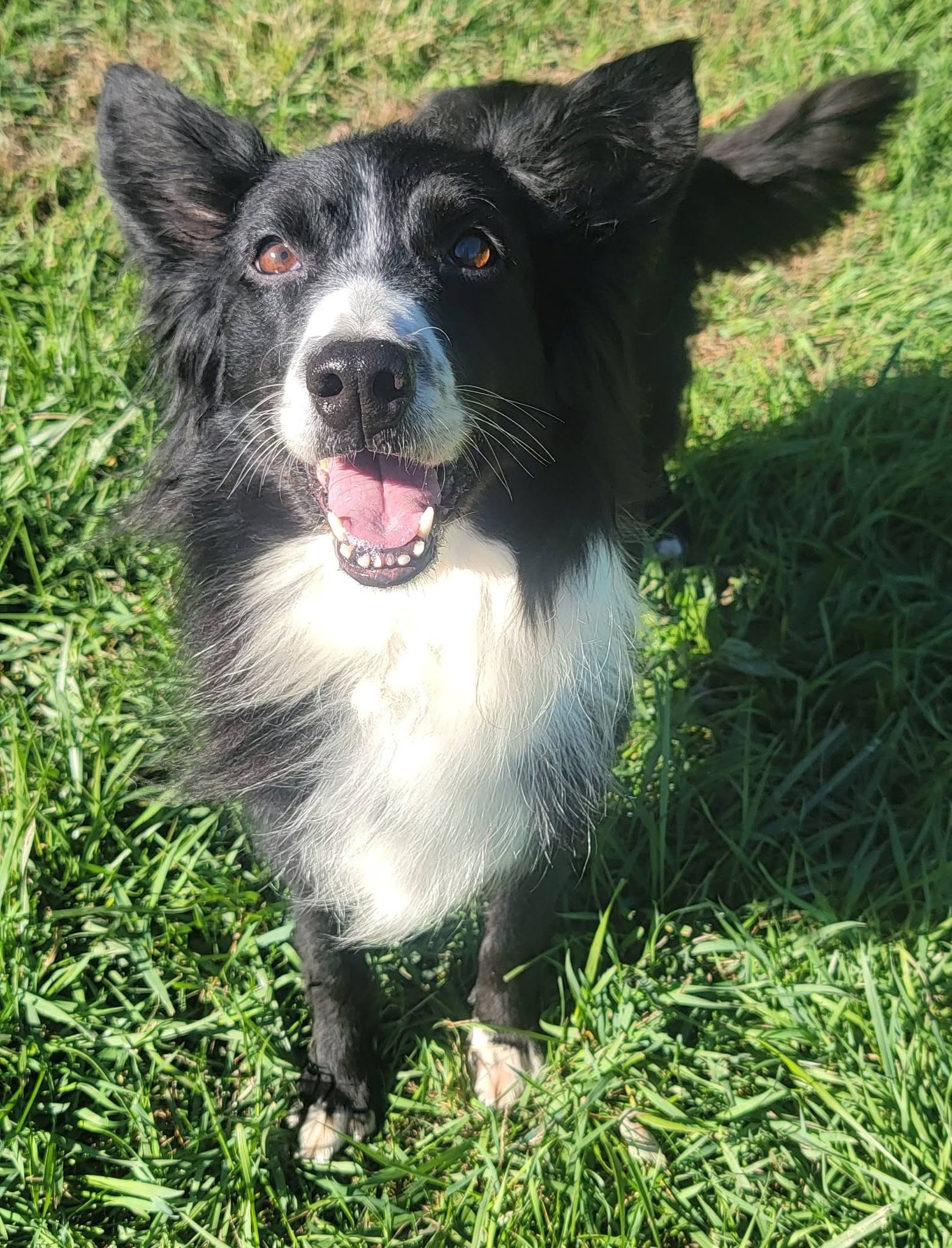 Hilda (Hildie), photo 6