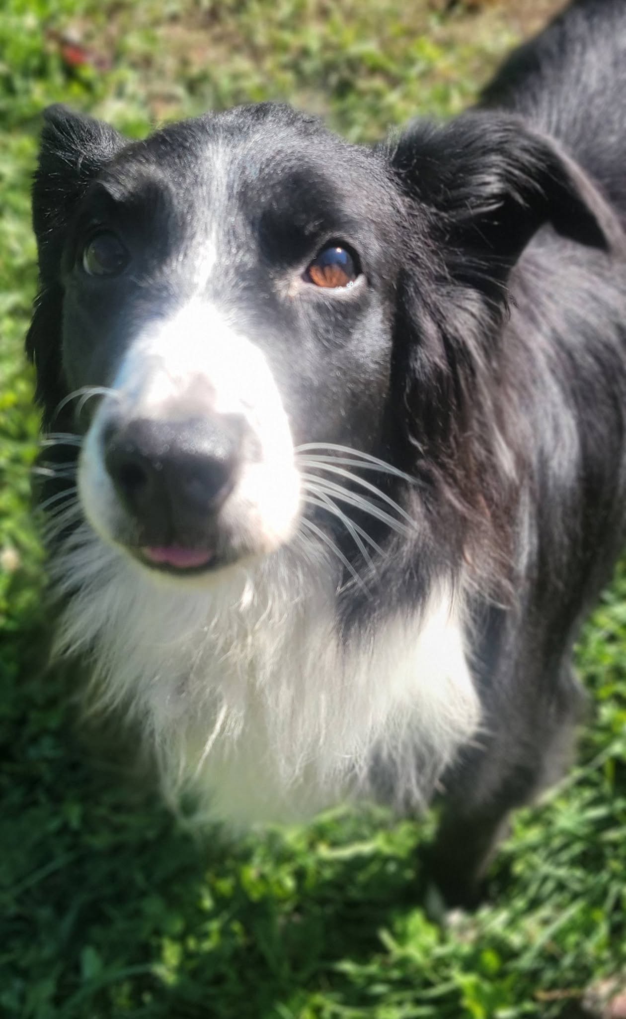 Hilda (Hildie), photo 7
