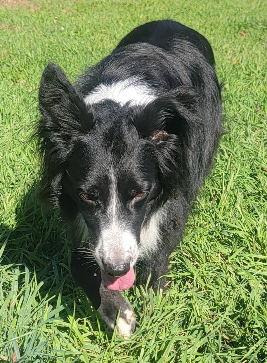 Hilda (Hildie), photo 8