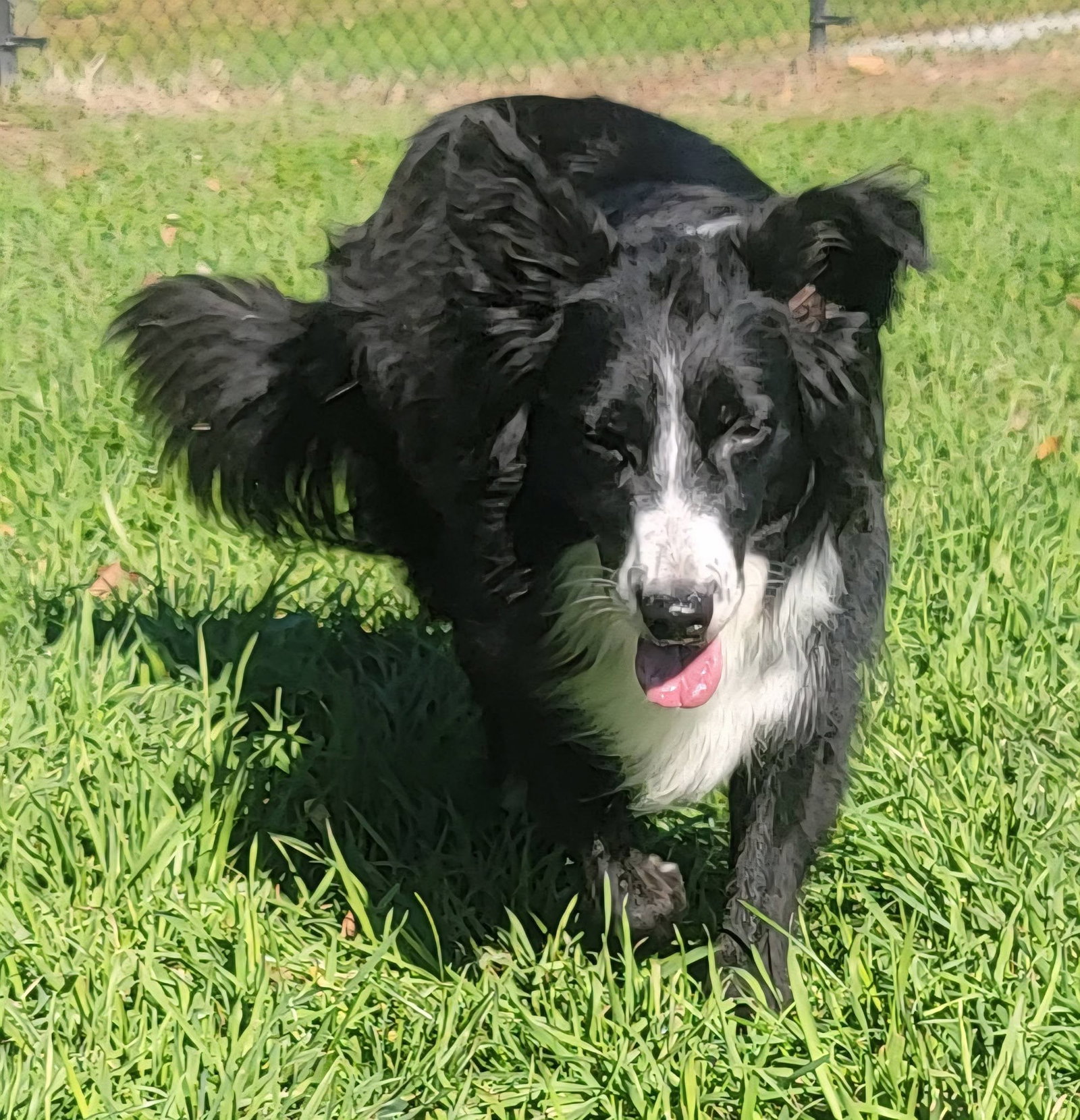 Hilda (Hildie), photo 9