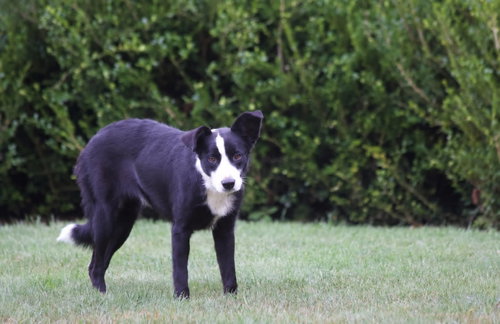 Photo 6 of Tana