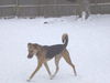 Starsky