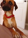 Sophie