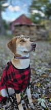 Hazel Jane