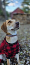 Hazel Jane
