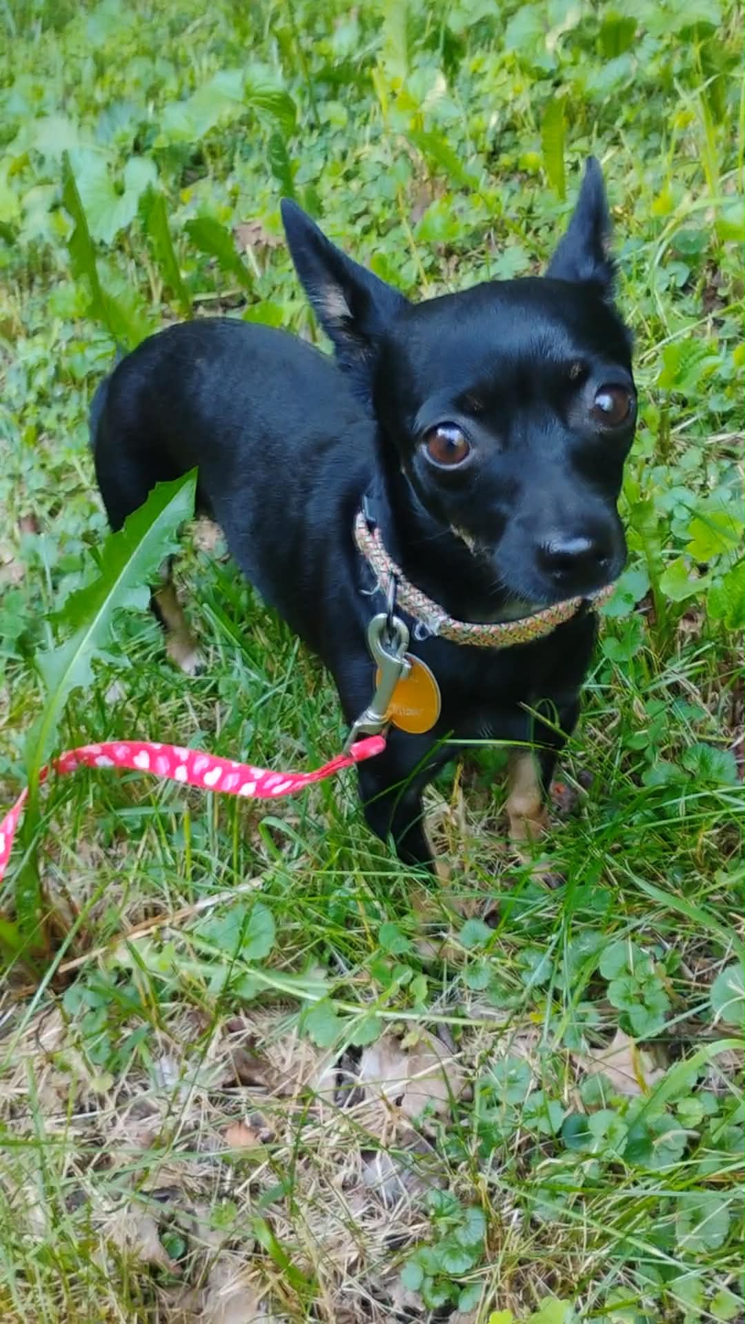 Missy