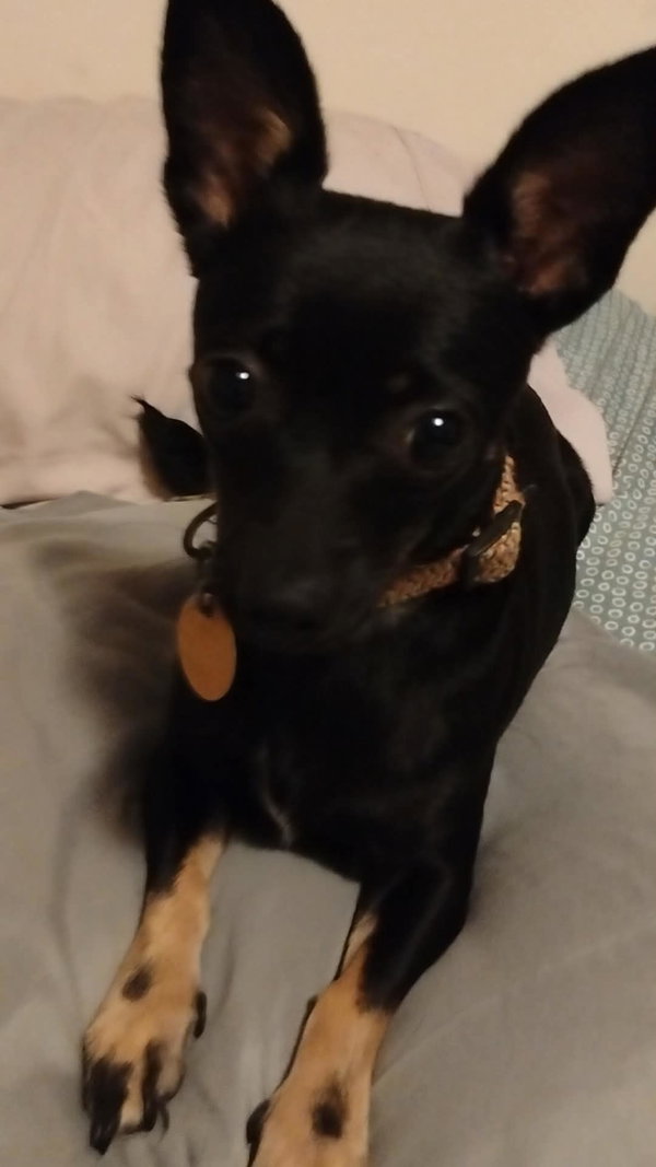 Missy
