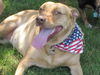 Trudy