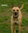 Mako