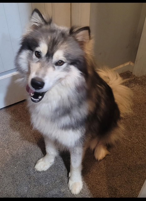 Aspen