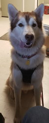 Maverick - Photo 2
