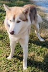 Maverick - Photo 4