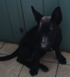Razzle - Photo 2