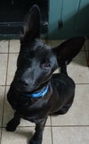Razzle - Photo 3