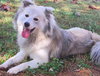 Klaus - Photo 2