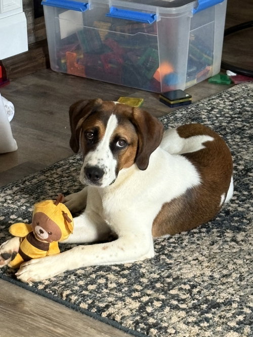 Cooper photo 3