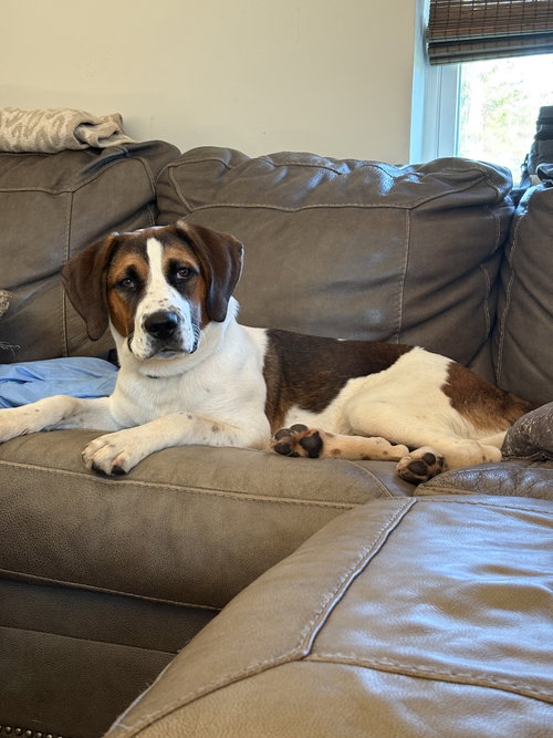Cooper photo 5