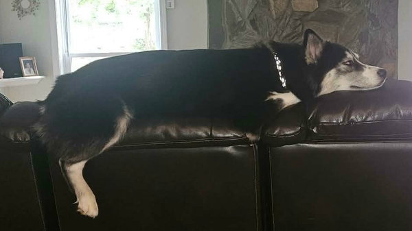 Missy