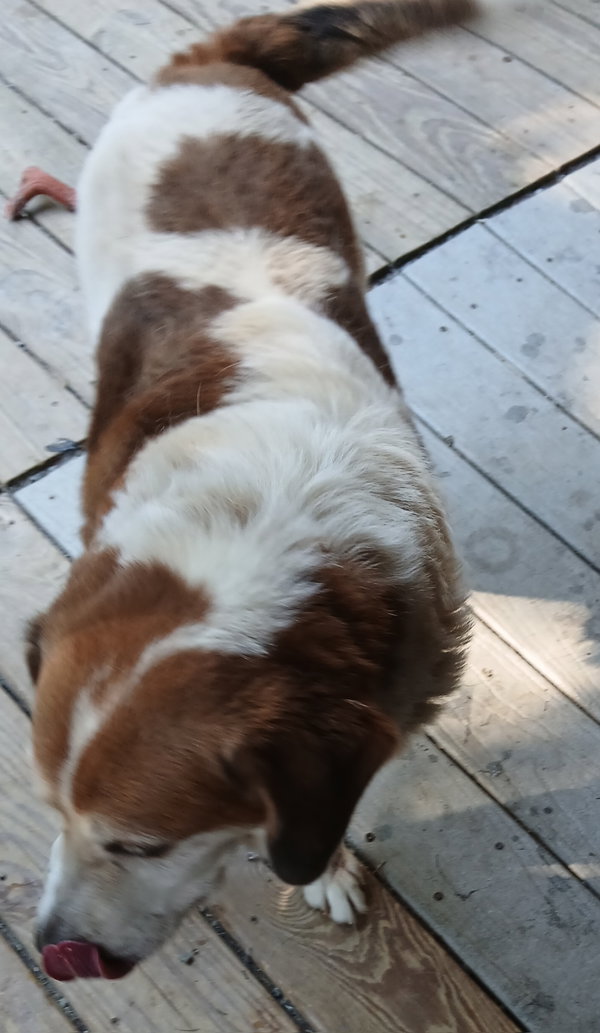 Max