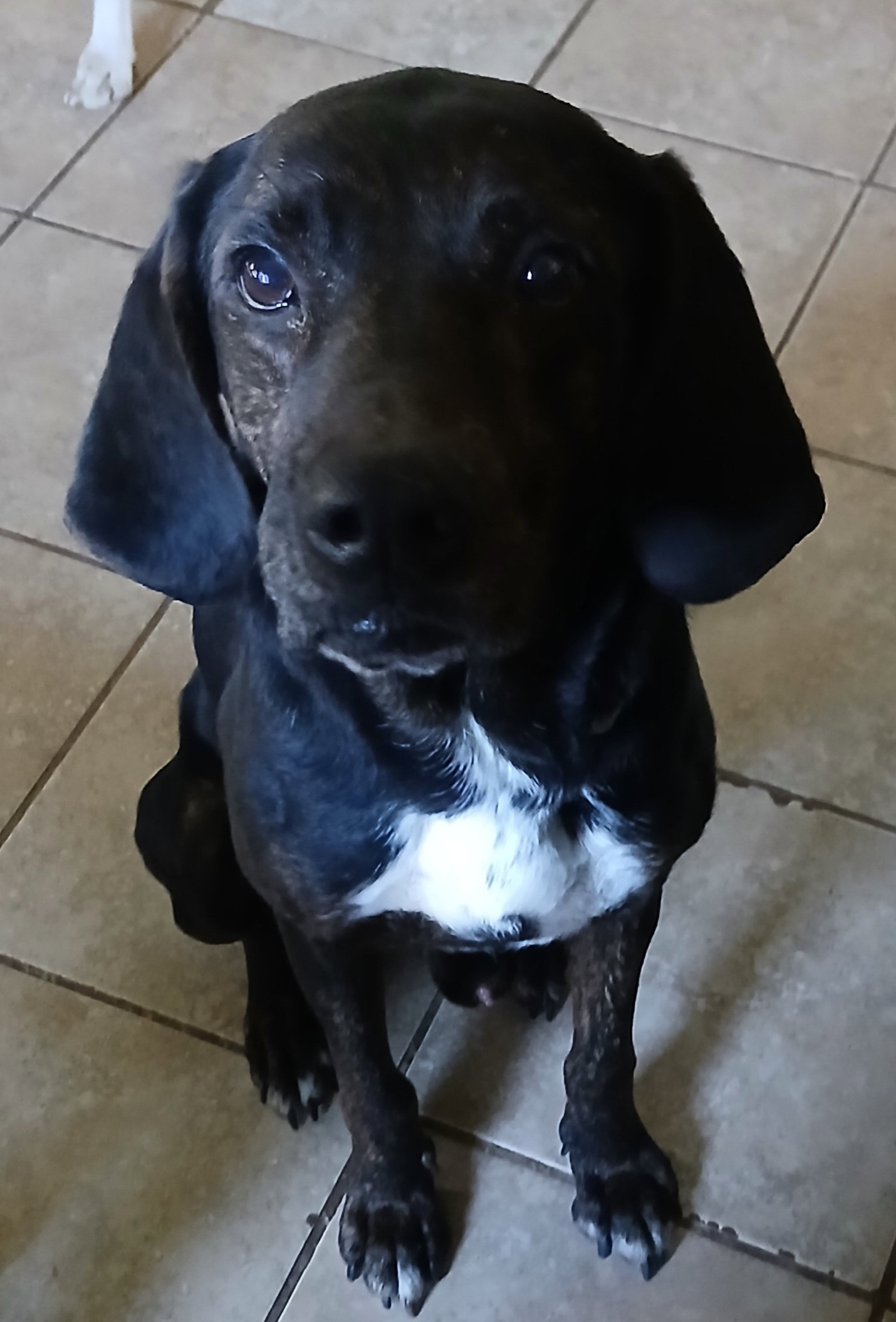 RJ, photo 3