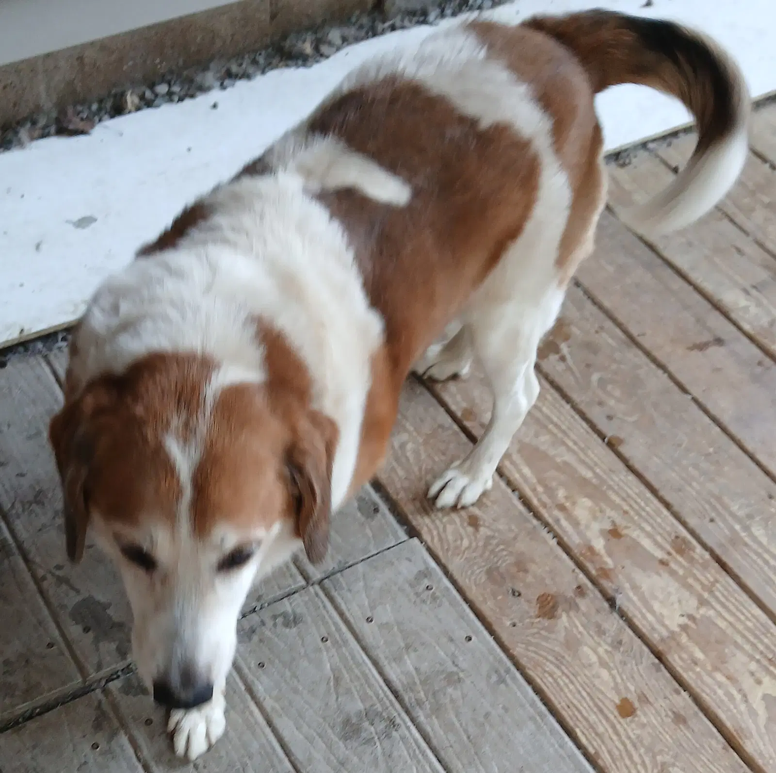 Max image 4