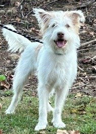 Ralphie, photo 3