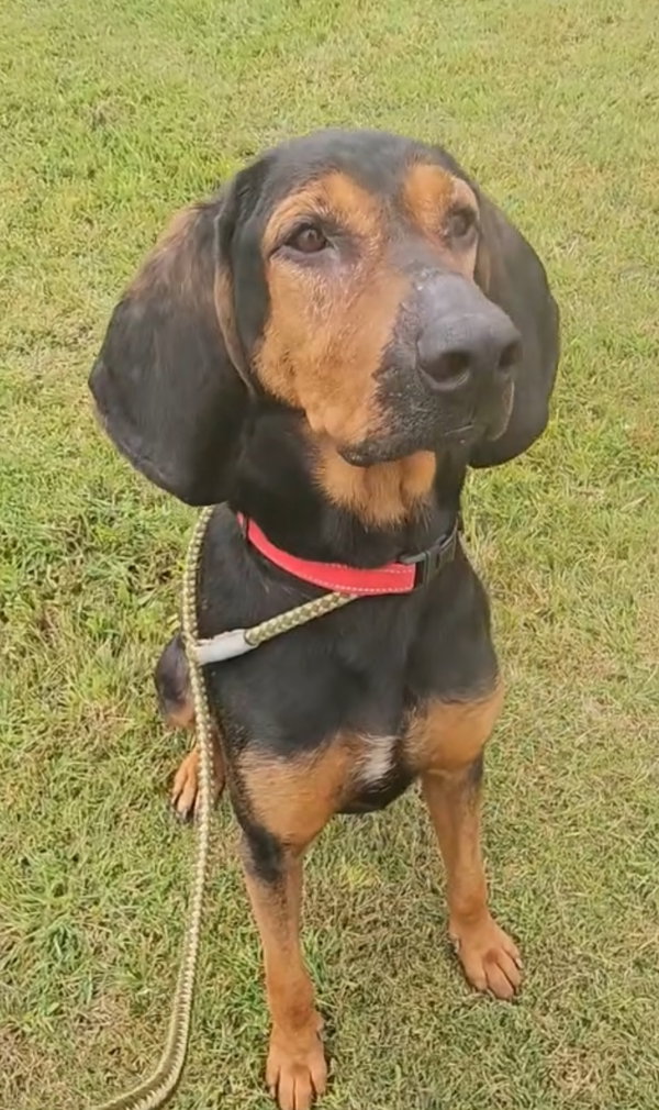 Rusty