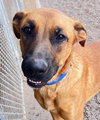Chumley - Photo 3