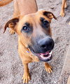 Chumley - Photo 1