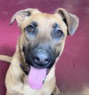 Chumley - Photo 2