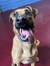Chumley - Photo 3