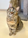 Jenny - Photo 2
