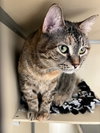 Jenny - Photo 3