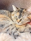 Jenny - Photo 4