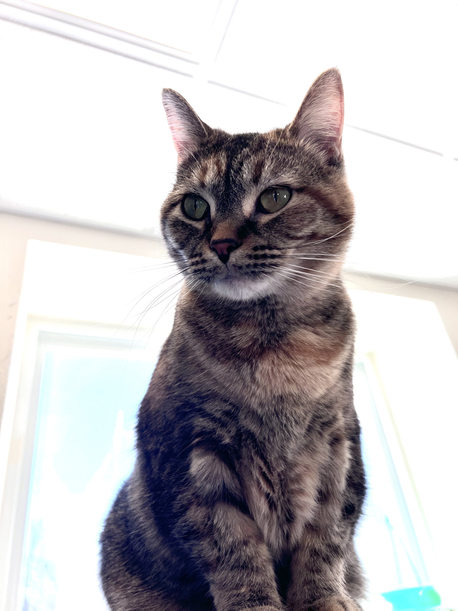 Jenny
