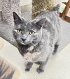 Snickerdoodle - Photo 3