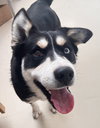Tundra - Photo 2