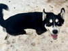 Tundra - Photo 4