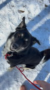 Storm - Photo 1