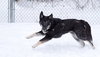 Storm - Photo 4