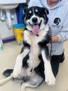 Timber - Photo 2