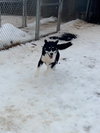 Timber - Photo 4