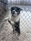 Timber - Photo 1