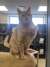 Steve - Photo 2