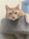Steve - Photo 3
