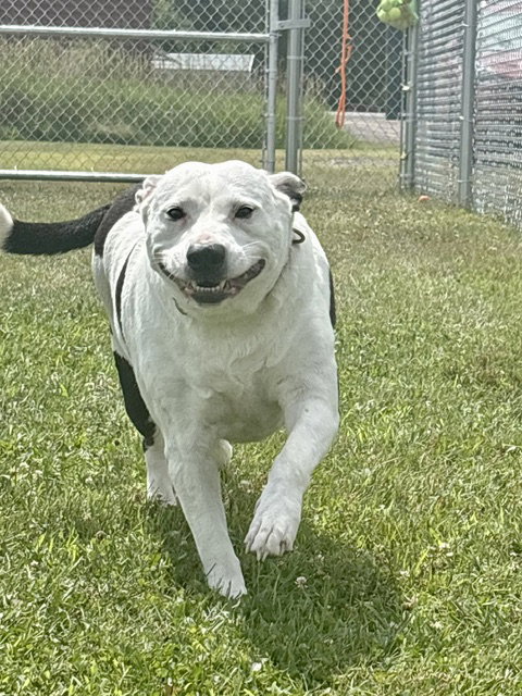 Rhonda