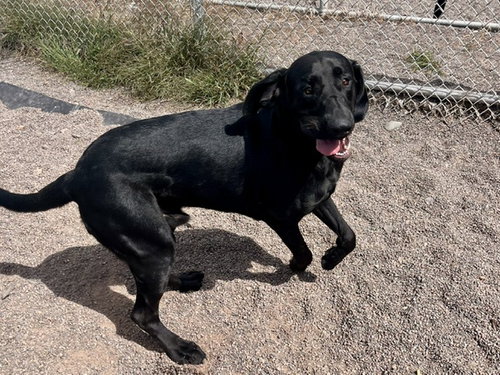 Photo 3 of Copper