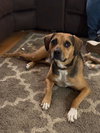 Cubby Joe - Photo 3