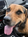 Cubby Joe - Photo 4