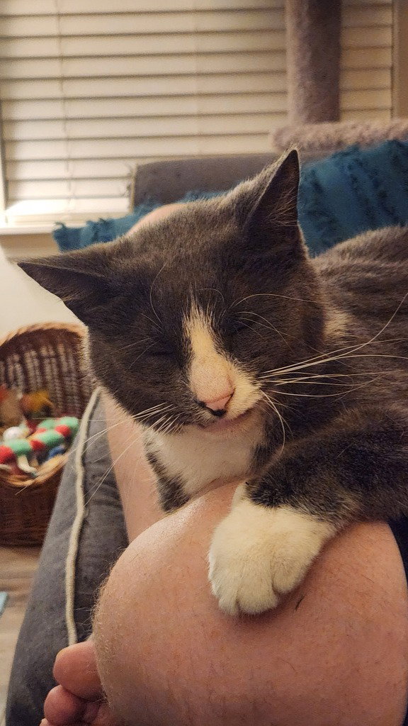 Finnegan
